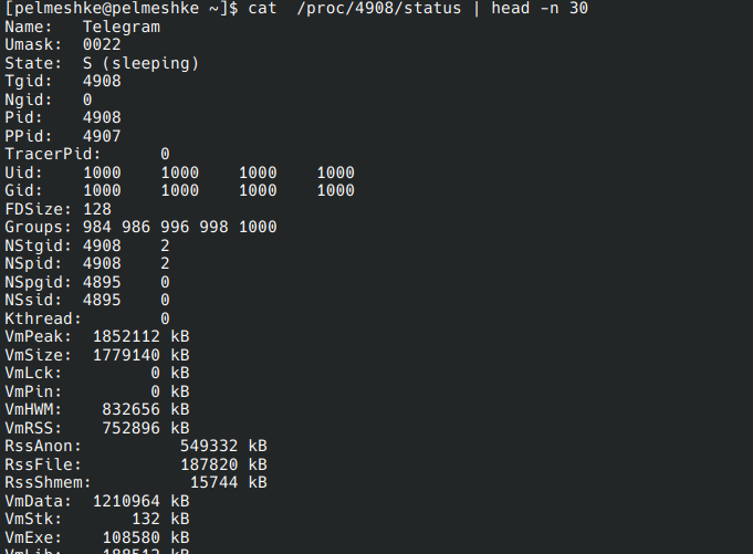 `/proc/<PID>/status`