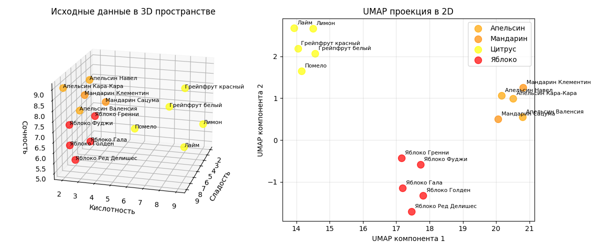 UMAP фрукты 1